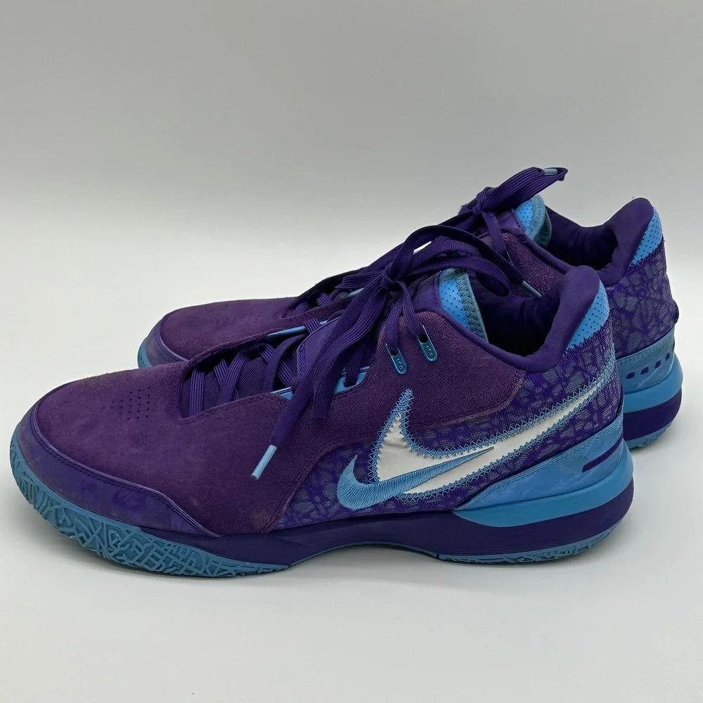Nike Mens 13 LeBron NXXT Gen AMPD Purple Blue FJ1566-500 Basketball Sneakers